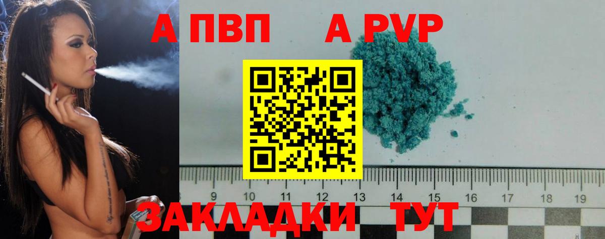 Альфа ПВП СК Грозный